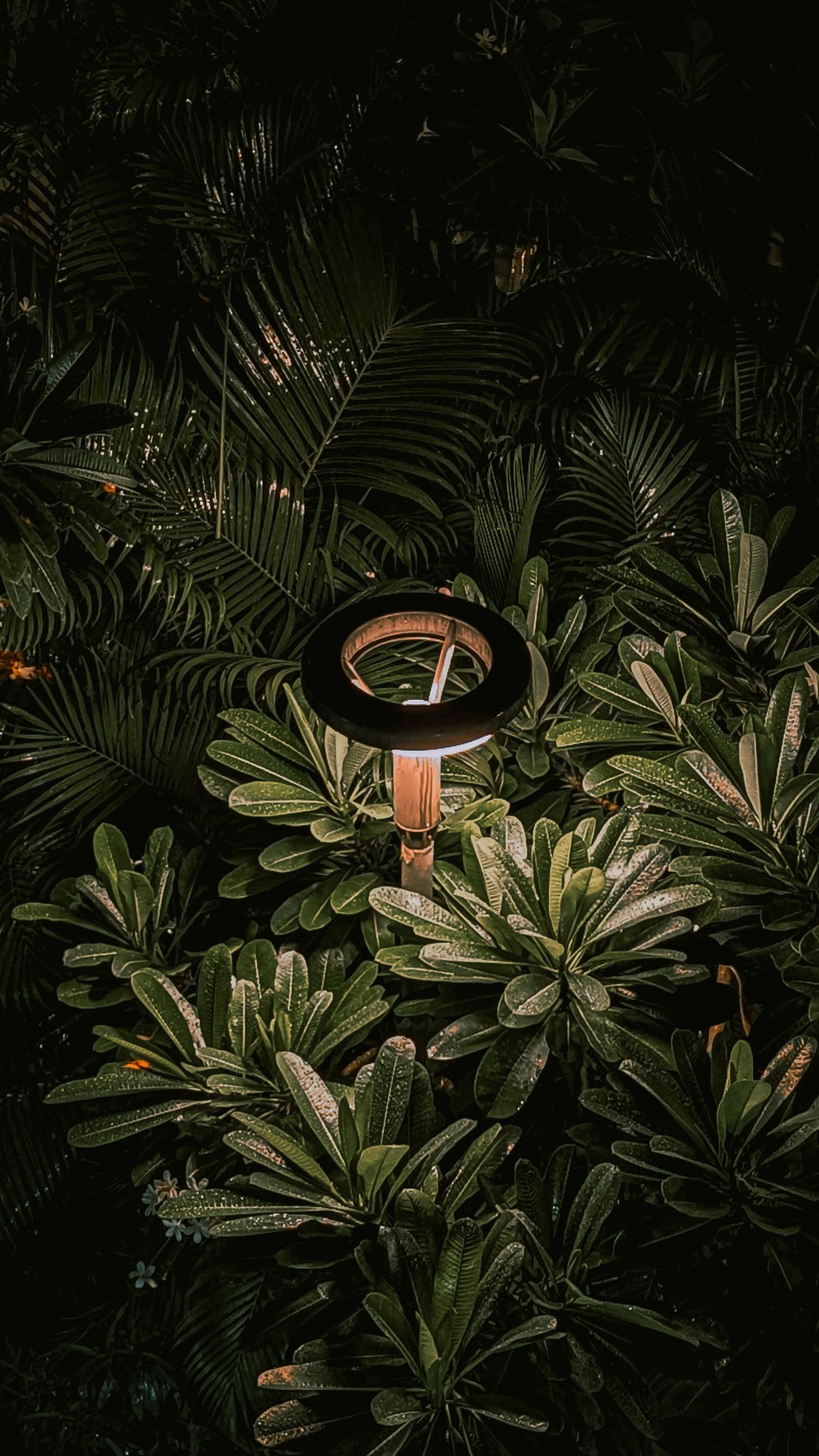 A copper spike light glowing in dense planting