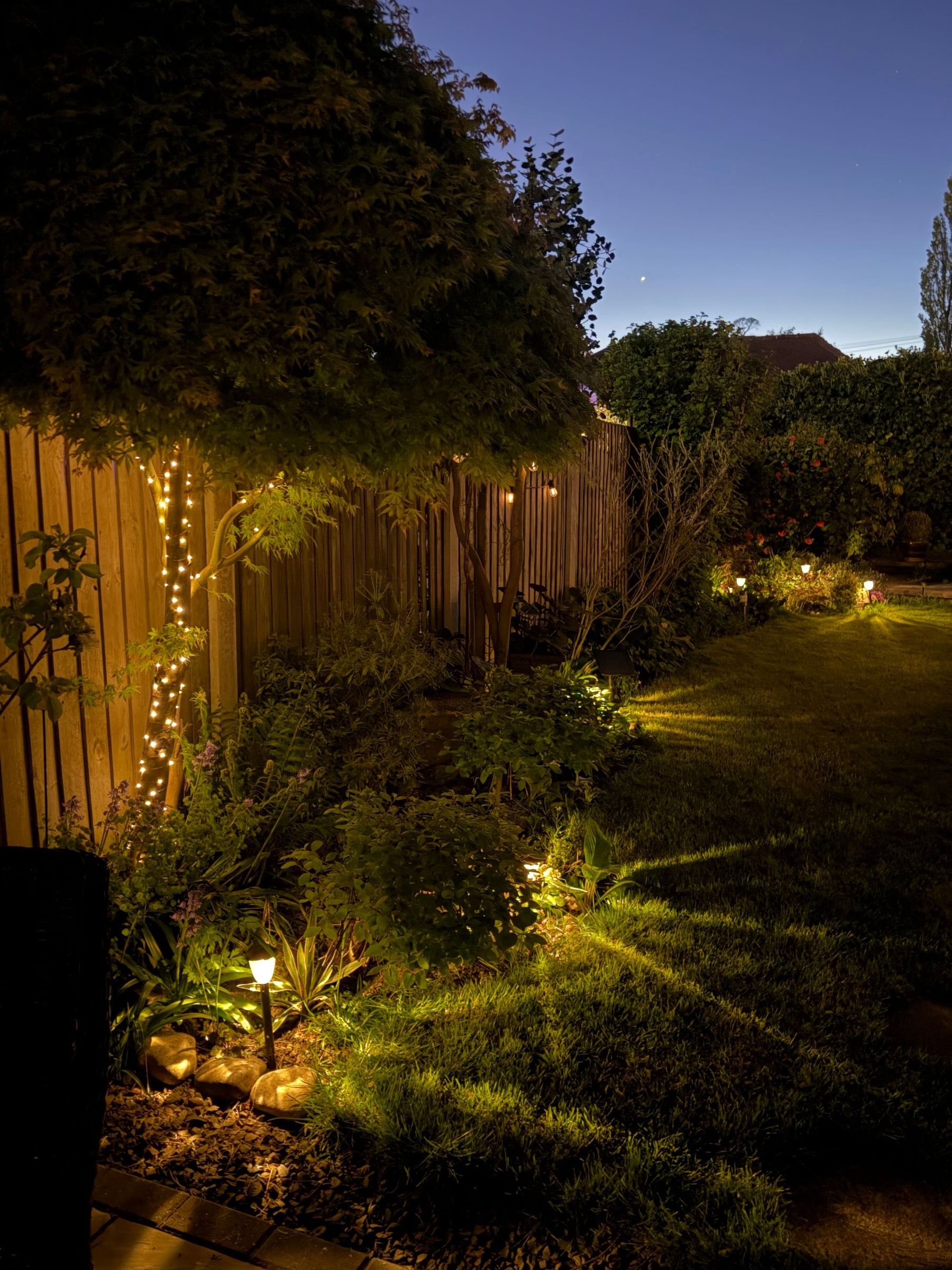 A domestic garden lit after dark with low-voltage spike lights through the planting